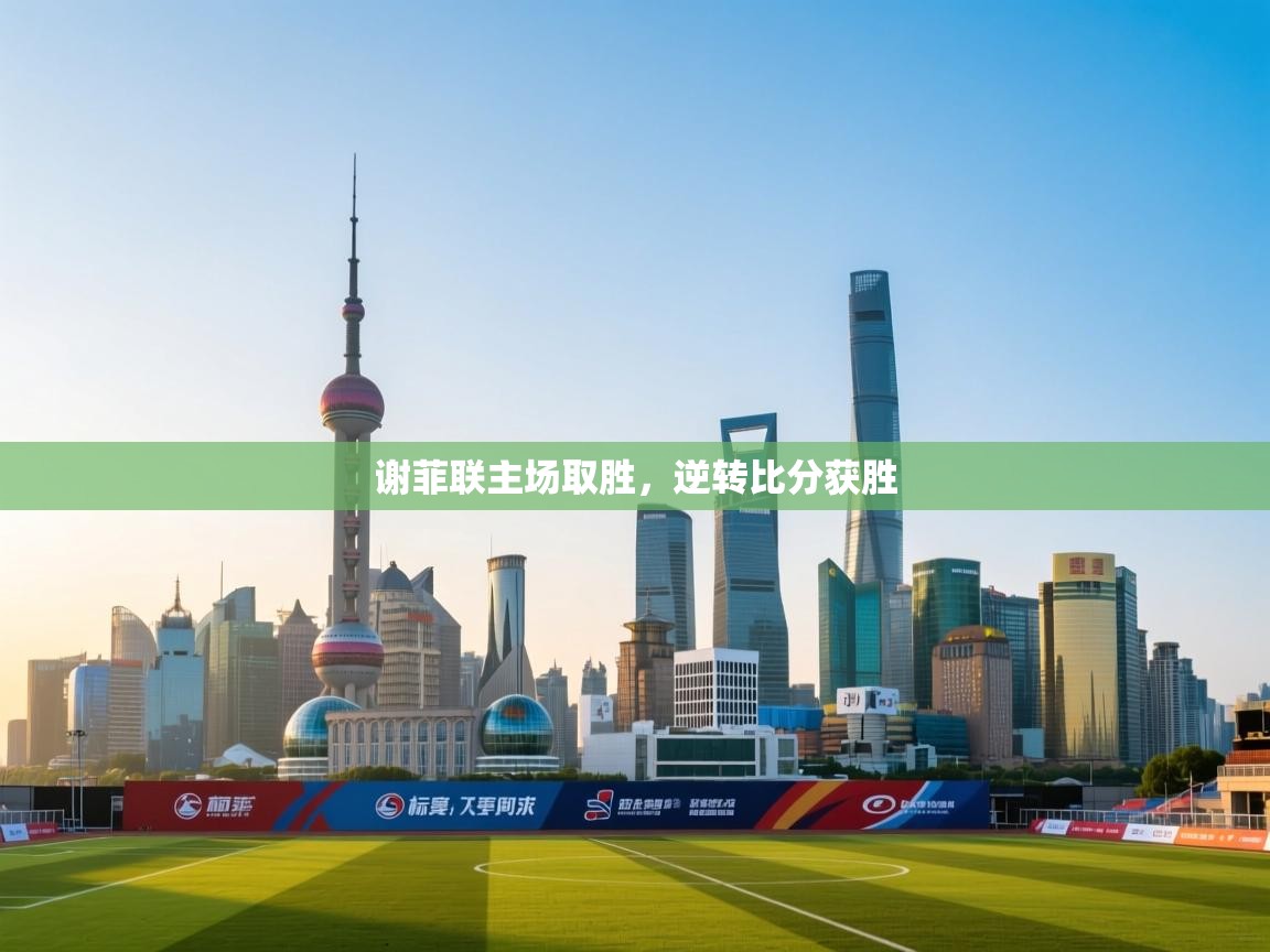 谢菲联主场取胜，逆转比分获胜  第1张