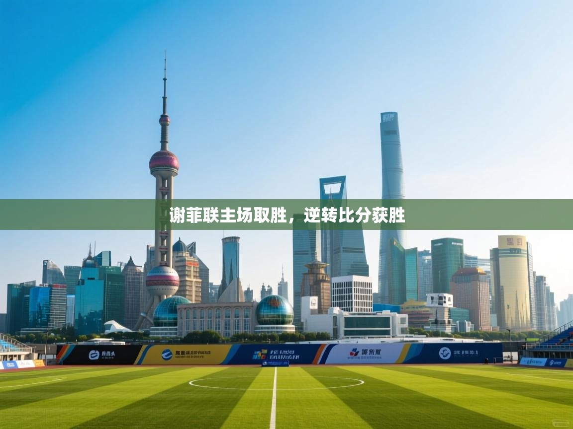 谢菲联主场取胜，逆转比分获胜  第2张