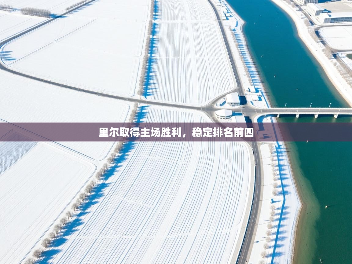 里尔取得主场胜利，稳定排名前四  第1张