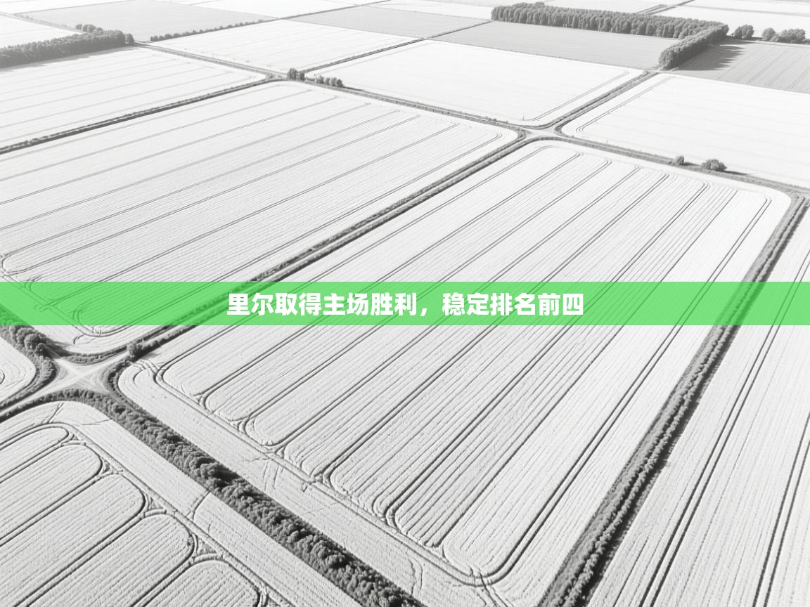 里尔取得主场胜利，稳定排名前四  第2张