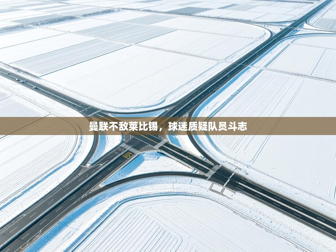 曼联不敌莱比锡,球迷质疑队员斗志 第2张