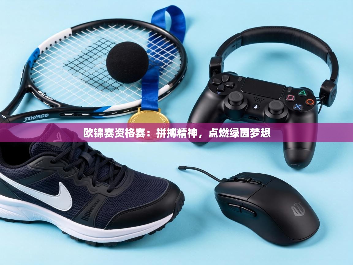 欧锦赛资格赛：拼搏精神，点燃绿茵梦想  第1张